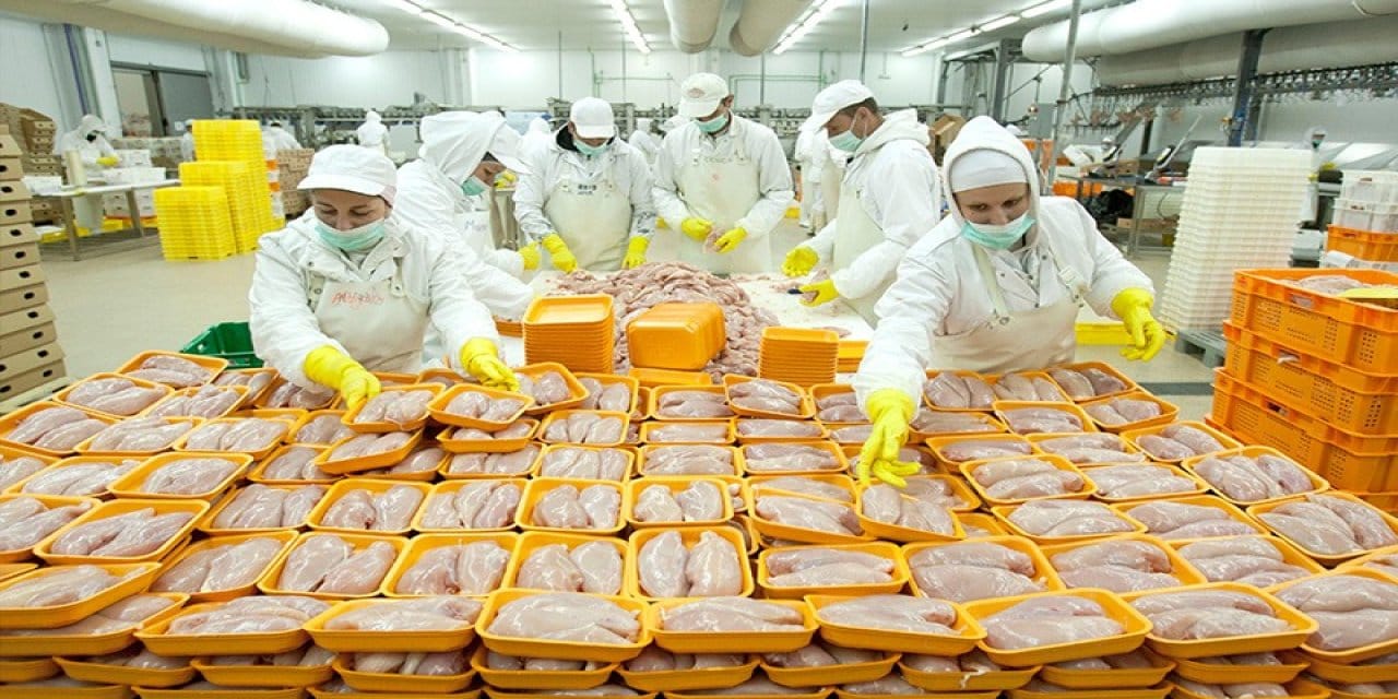 Kırmızı et hayaldi tavuk da lüks oldu! Büyük zam geliyor