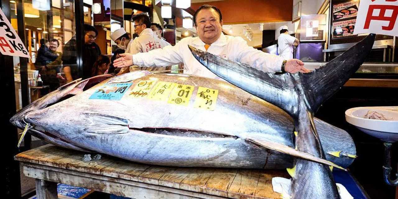 243 kiloluk mavi yüzgeçli orkinosa verdiği para dünya rekoru oldu