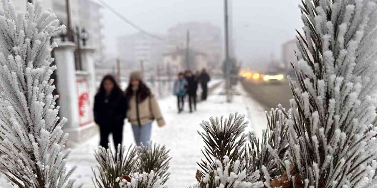 Soğuk hava dalgası yurdu sardı: Burası Sibirya değil Türkiye: Eksi 23 derece görüldü!