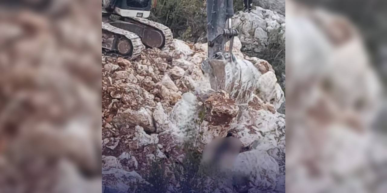 20 yaşındaki genç feci şekilde can verdi! Kayaların altında kaldı