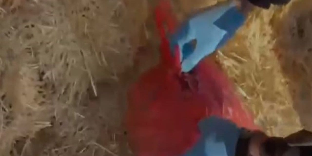 Saman balyalarından uyuşturucu çıktı: 3 gözaltı