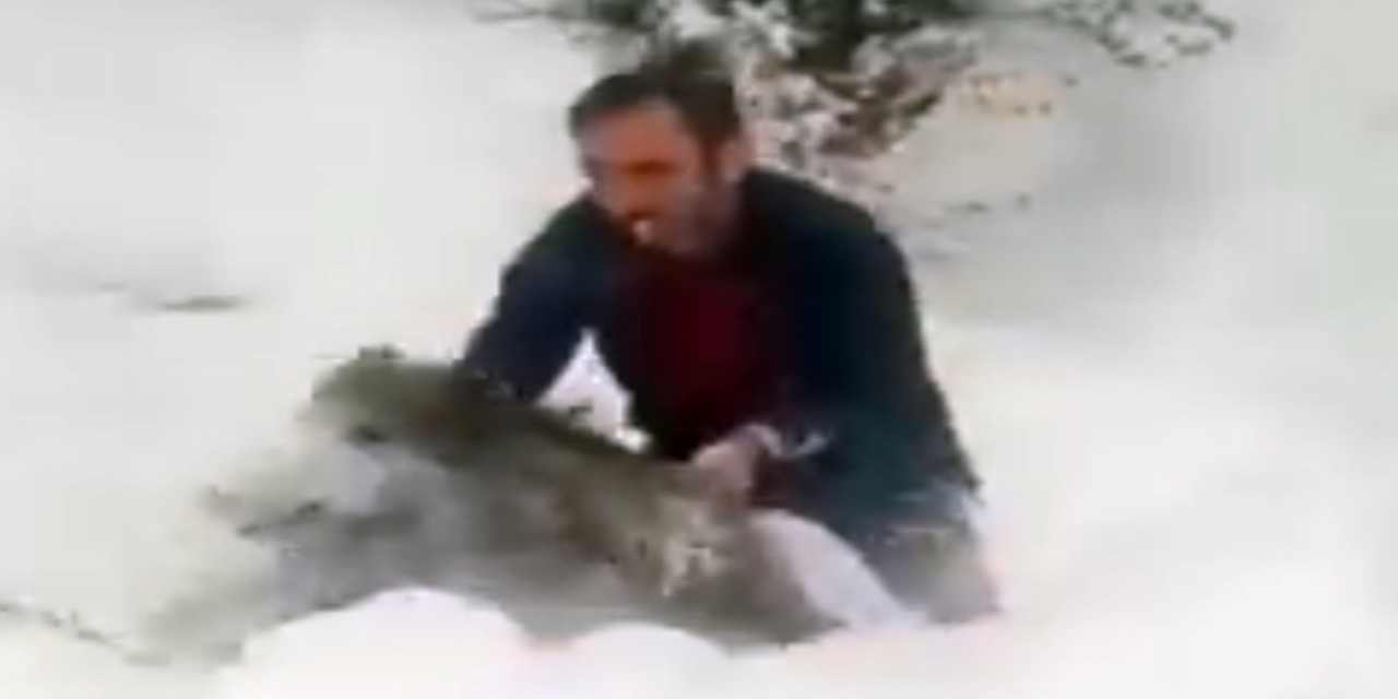 Önüne çıkan yaban domuzunu eliyle yakalamıştı: Dünyada gündem olan sürücü ilk kez konuştu