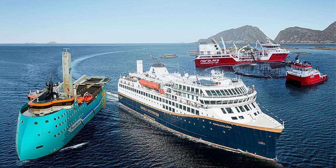 Yalova'da Acta Herkules heyecanı: Acta Pegasus’un kardeşi gün sayıyor