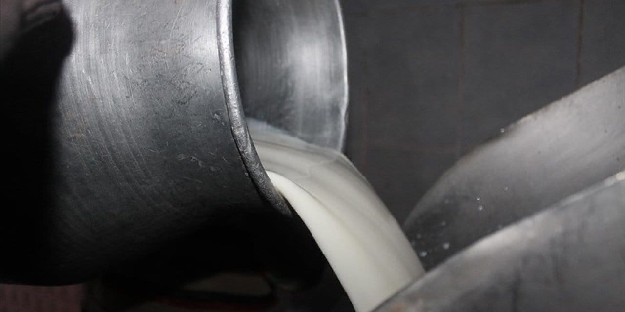 USK çiğ süt tavsiye fiyatını açıkladı