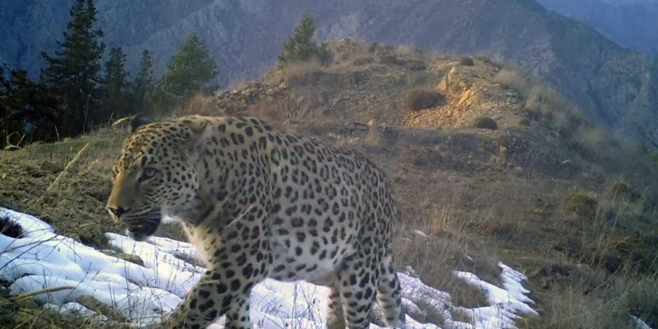 Anadolu'nun gizemli efsanesini görmek mucize: Cezası 45 milyon lira