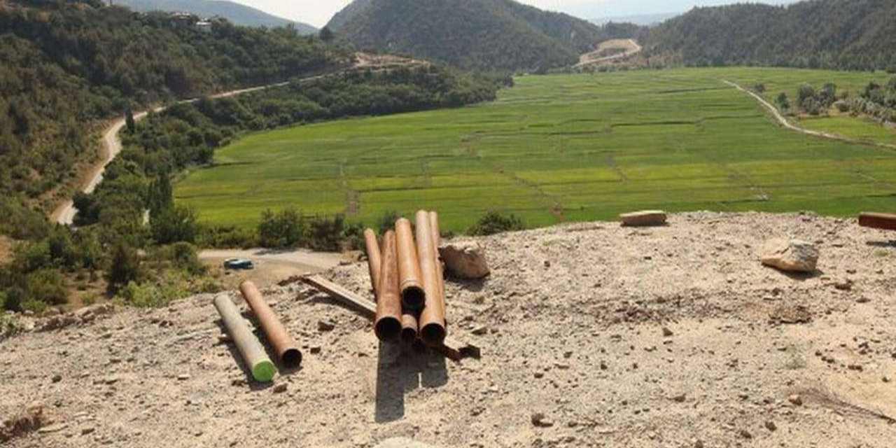 Kolin Tosya'da pirinci de bitirecek!