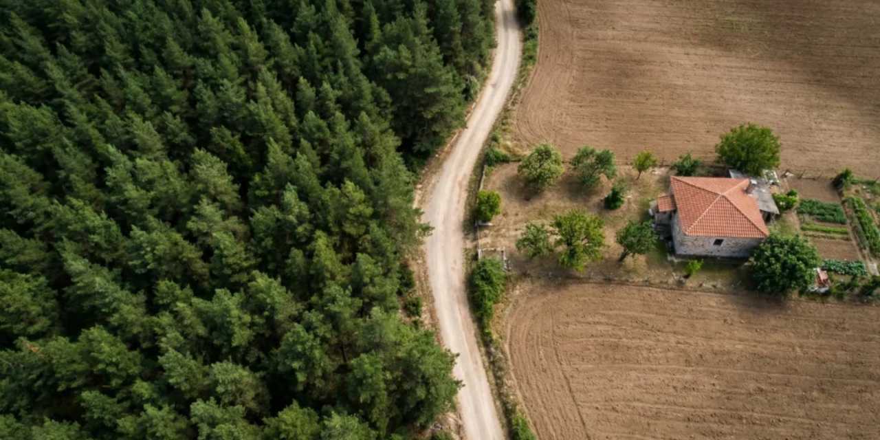 Ormandan çevrilen araziler için ödeme süresi uzatılıyor