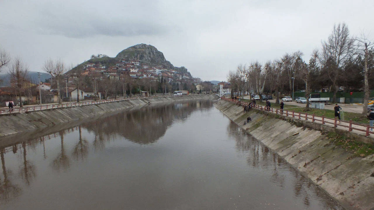 Tokat Yeşilırmak'ta balıklar kıyıya vurdu