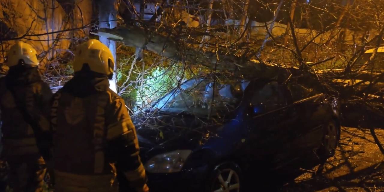 İstanbul'da fırtına devam ediyor! Park halindeki araçların üzerine ağaç devrildi