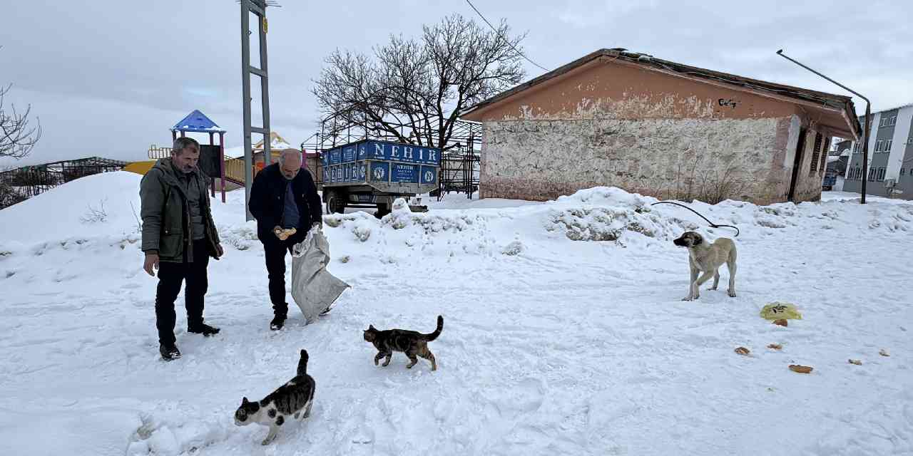 Kendi kendinin muhtarlığını yapıyor: Bu köyde sadece tek aile yaşıyor!