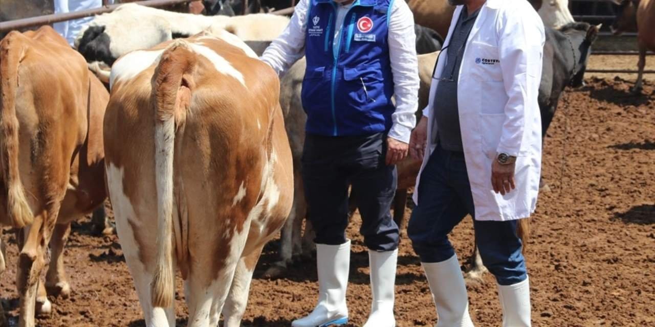 Diyanet Vakfı'nda 10 milyar liralık karadelik iddiası! Sayıştay denetleyemiyor, iktidar hesap vermiyor