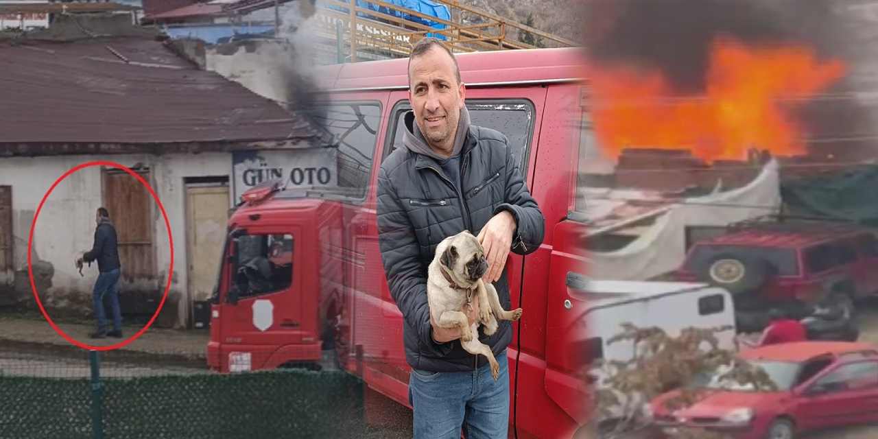 Yangının ortasında kalan yavru köpek için mahalle seferber oldu!