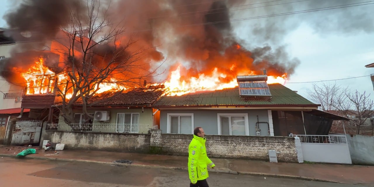 Tokat'ta korkutan yangın: Alevler arasında kalan kediler kurtarıldı