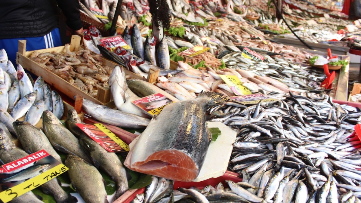 Av sezonu başladı: İşte balık fiyatları