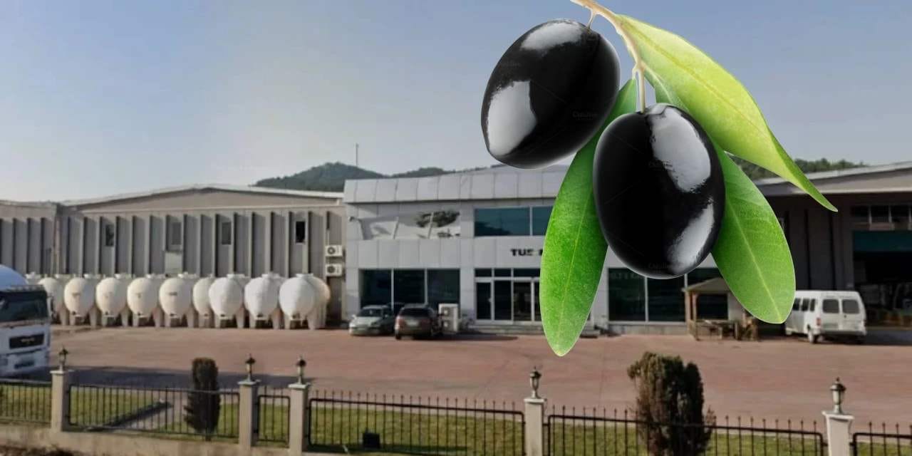 Türkiye'nin ünlü zeytin markası iflas bayrağını çekti