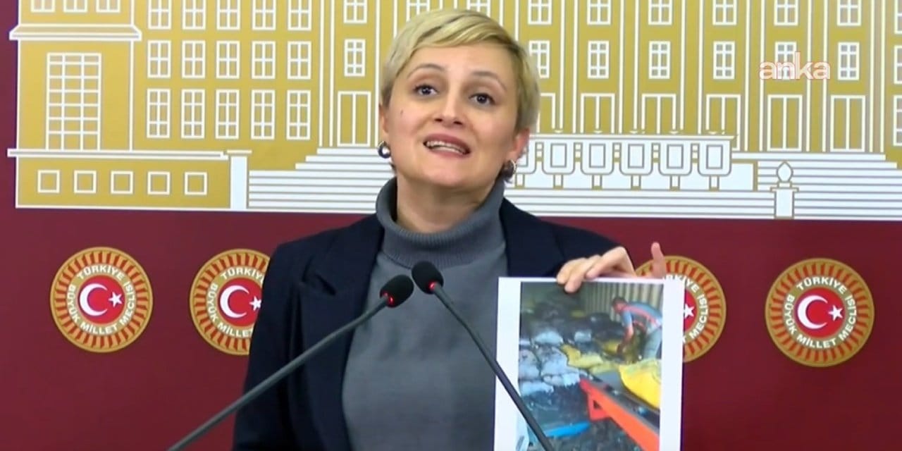 DEM Partili Koca’dan Mersin Limanı isyanı: 185 işçi için çağrı