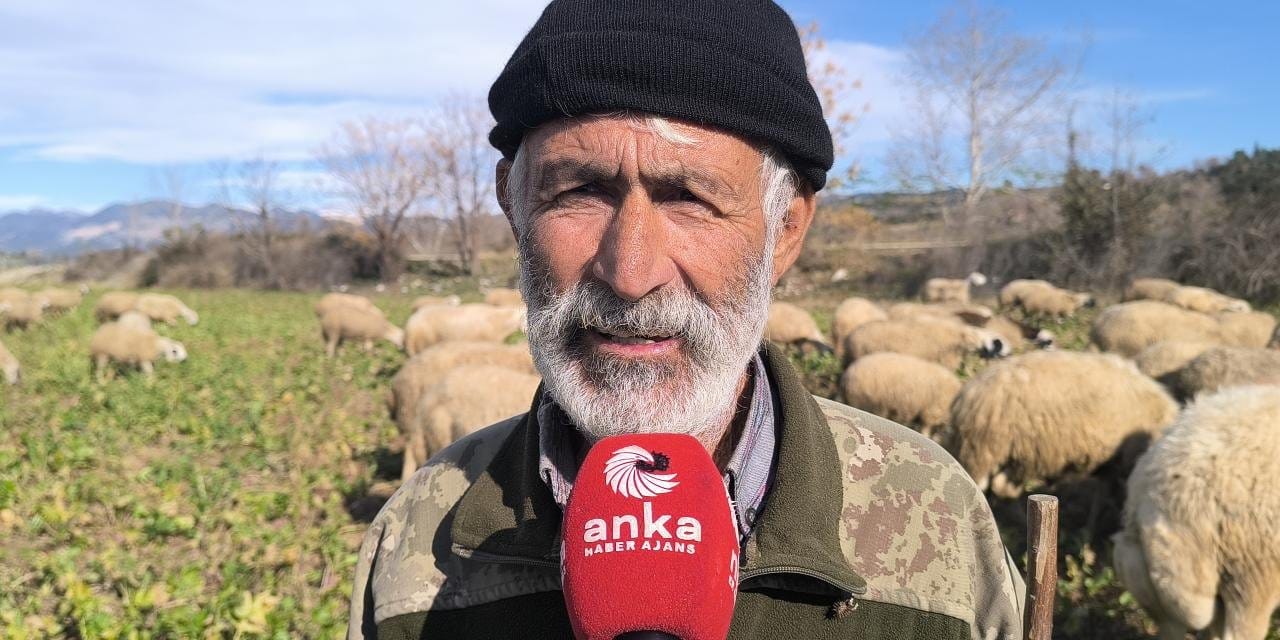 70 yaşındaki çiftçinin emeği koyunlara yem oldu: Turp para etmiyor iflas kapıda