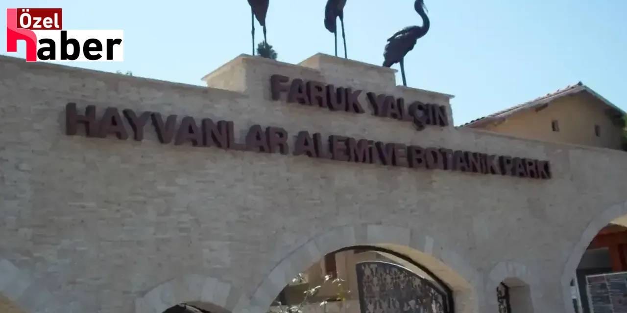 Darıca Hayvanat Bahçesi kapandı: 33 yıllık tesis miras kavgasına yenildi