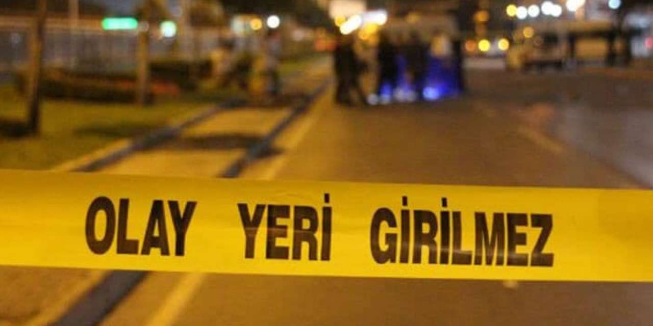 Elazığ'da park halindeki TIR'a çarpan araçtaki çift hayatını kaybetti