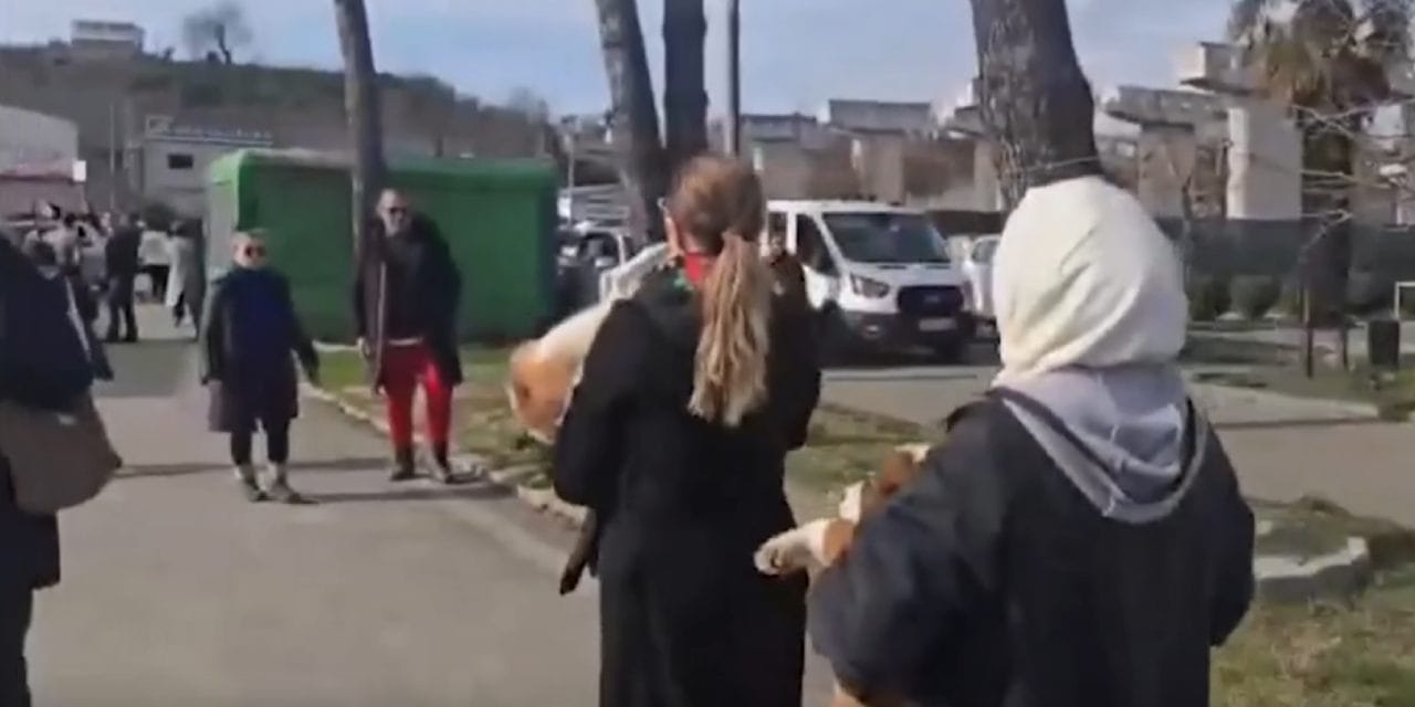 CHP'li Adıgüzel’den 'vahşet' tepkisi: Vatandaşlar hayvanları kurtardı!