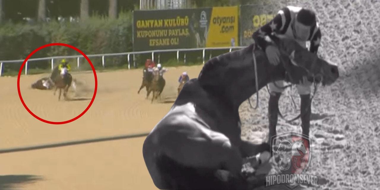 Kahraman jokey kendini düşünmedi: Şoka giren atını böyle ayağa kaldırdı