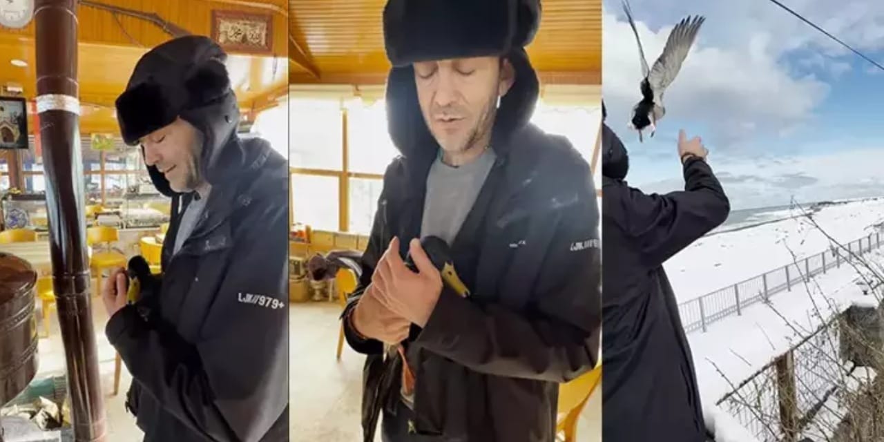 Donarak ölmek üzereydi! Düştüğü yer kaderini değiştirdi