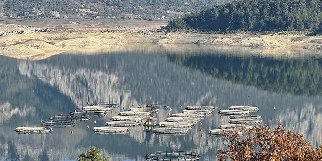 Burdur'dan çıkıyor ülkeler sırada bekliyor: Yüzde 80'i yurt dışına gönderiliyor