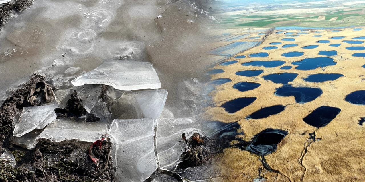 Sıcaklığın eksi 8 dereceye düştüğü Edirne'de, Tunca Nehri ve gölet buz tuttu