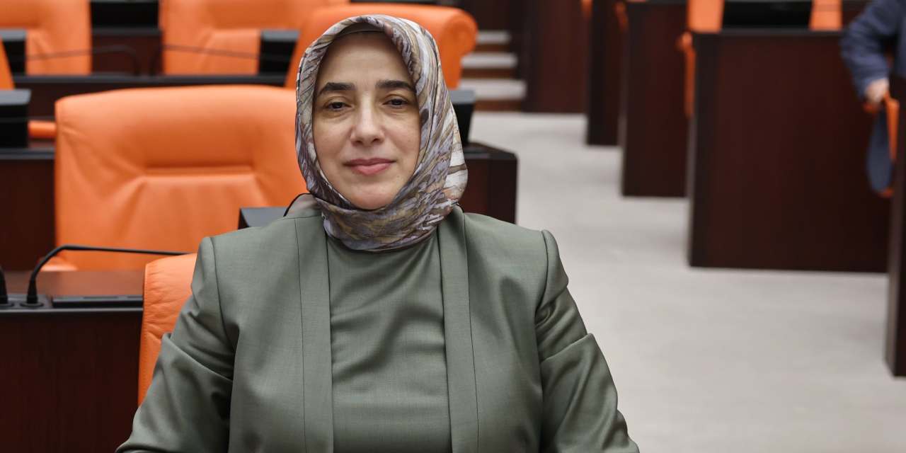 AKP'li Özlem Zengin'den emekli maaşı itirafı! "Yeterli değil hepimiz görüyoruz"