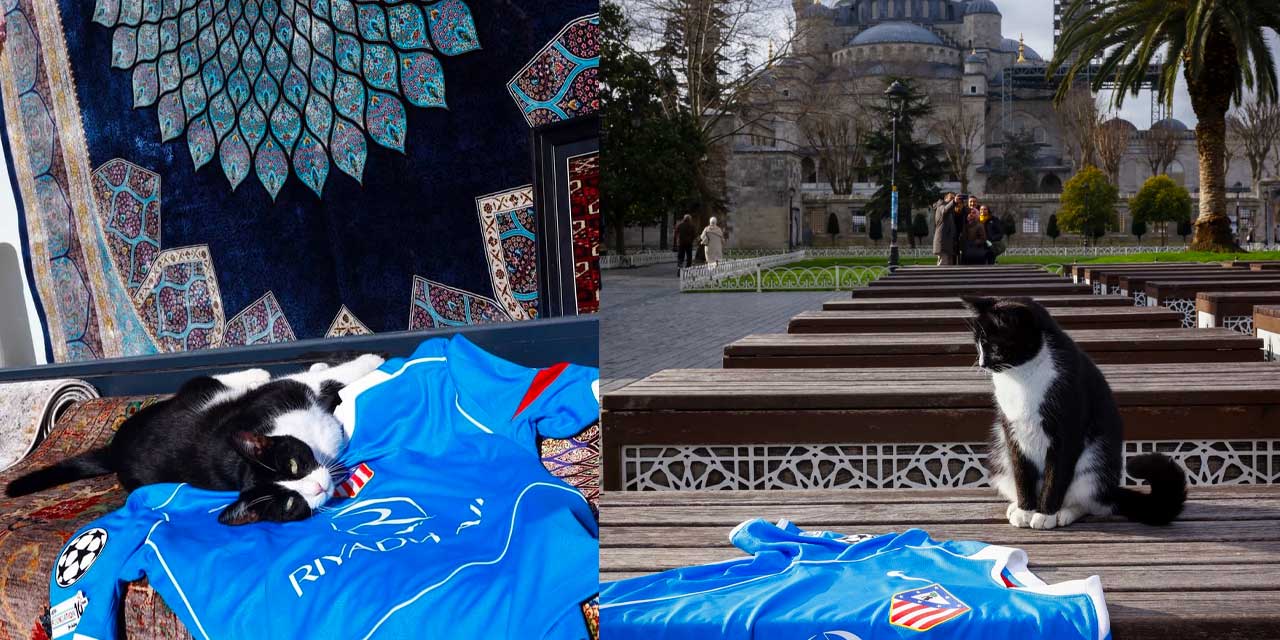 Atletico Madrid İstanbul kedilerini paylaştı