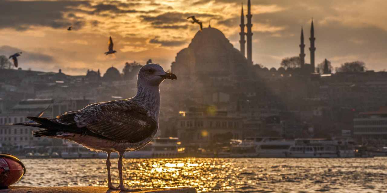 İBB İstanbullulara müjdeyi verdi: AKOM paylaştı