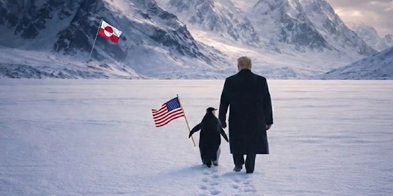 Beyaz Saray’ın görseli alay konusu oldu! Penguenler Grönland'da yaşamıyor ama cehalet Beyaz Saray'da yaşıyor