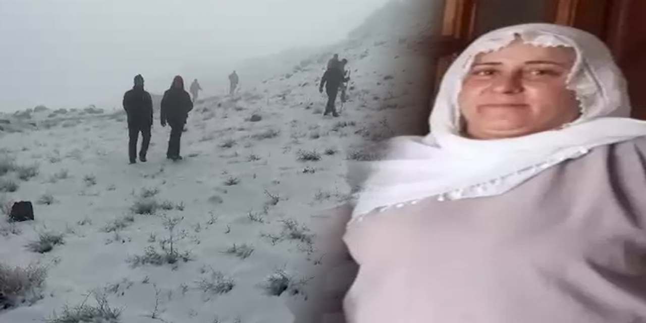 Diyarbakır’da kaybolan Nimet Kılıç’tan 4 gündür haber yok!