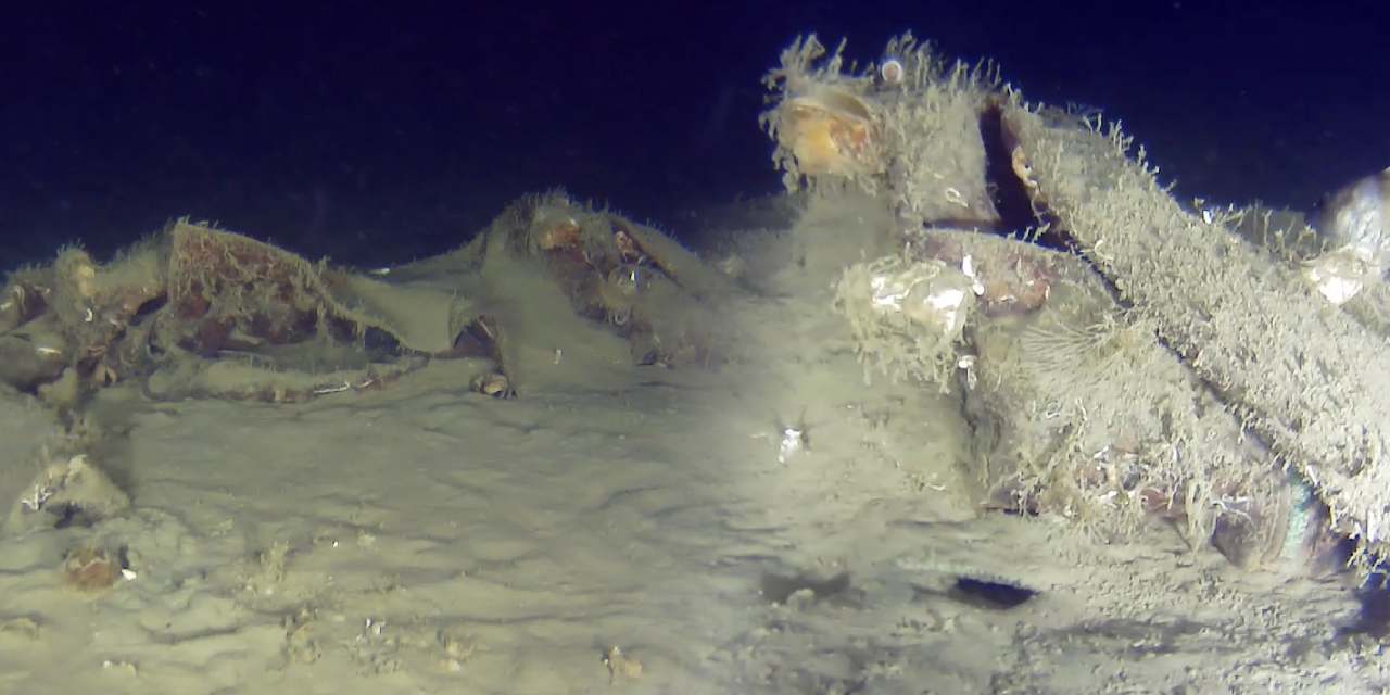 THY'nin 50 yıl önce düşen uçağının parçaları bulundu! Fatih Terim'in kayınpederi de o uçaktaydı