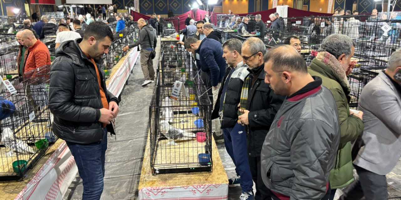 Ankara'da daire fiyatına güvercin! 7 milyona kadar çıkıyor