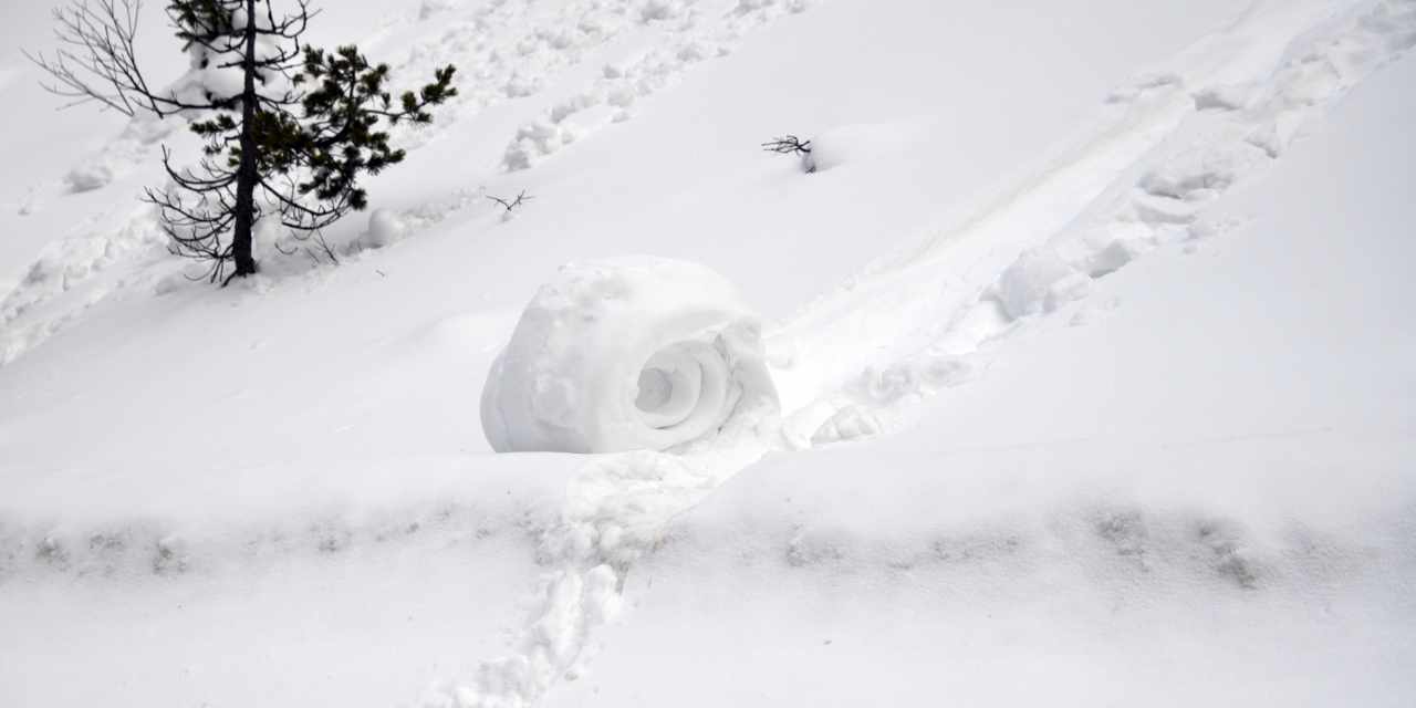 Ender oluşan kar ruloları Ilgaz Dağı'nda görüldü
