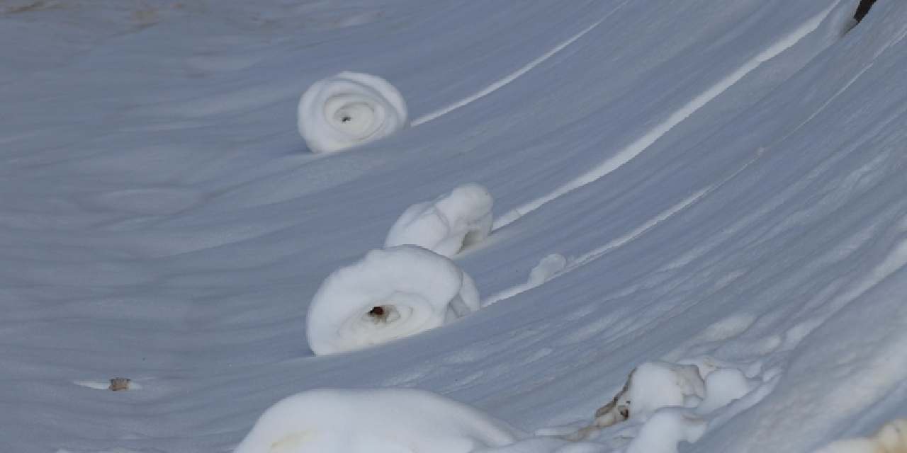 Böylesi 40 yılda bir görülür: Türkiye'de de rulo rulo ortaya çıktı
