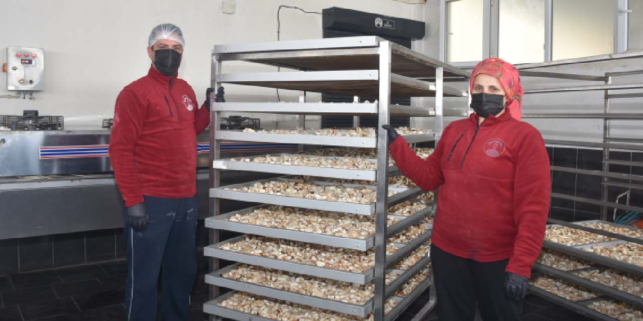 Eşiyle birlikte apartmanın altında üretmeye başladı şimdi siparişe yetişemiyor: Hollandalılar bayılıyor