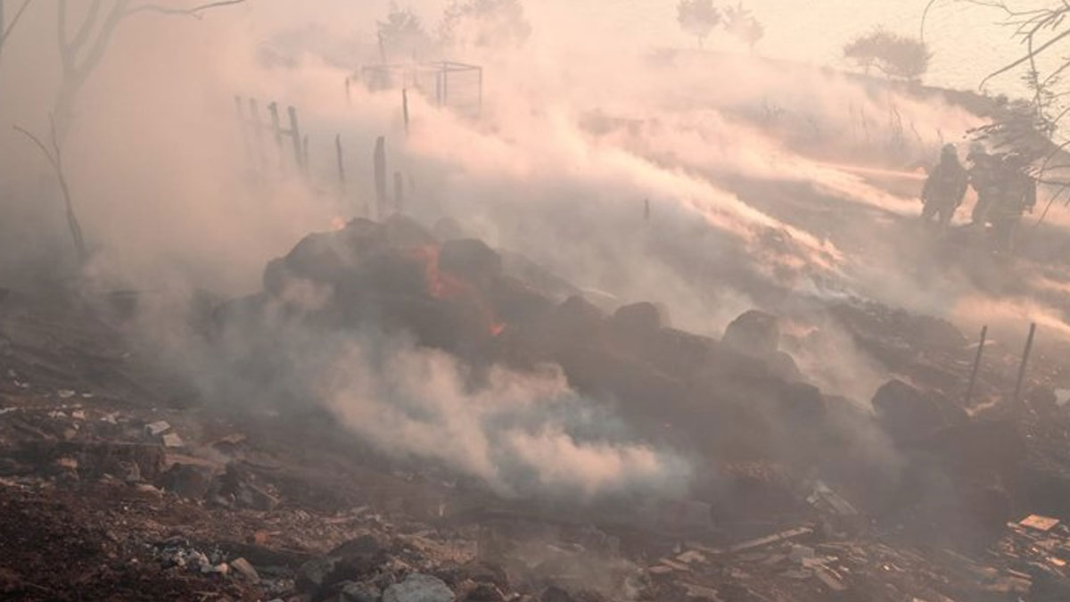 Beylikdüzü'nde yangın: 650 kümes hayvanı öldü