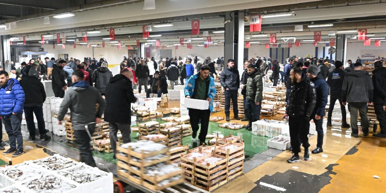 8 bin liradan 3 bin 500 liraya düştü: Kasa kasa aldılar