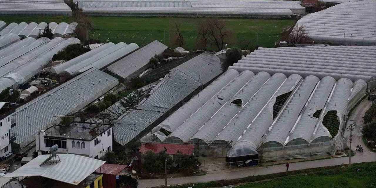 Muğla'yı hortum vurdu üretici perişan oldu