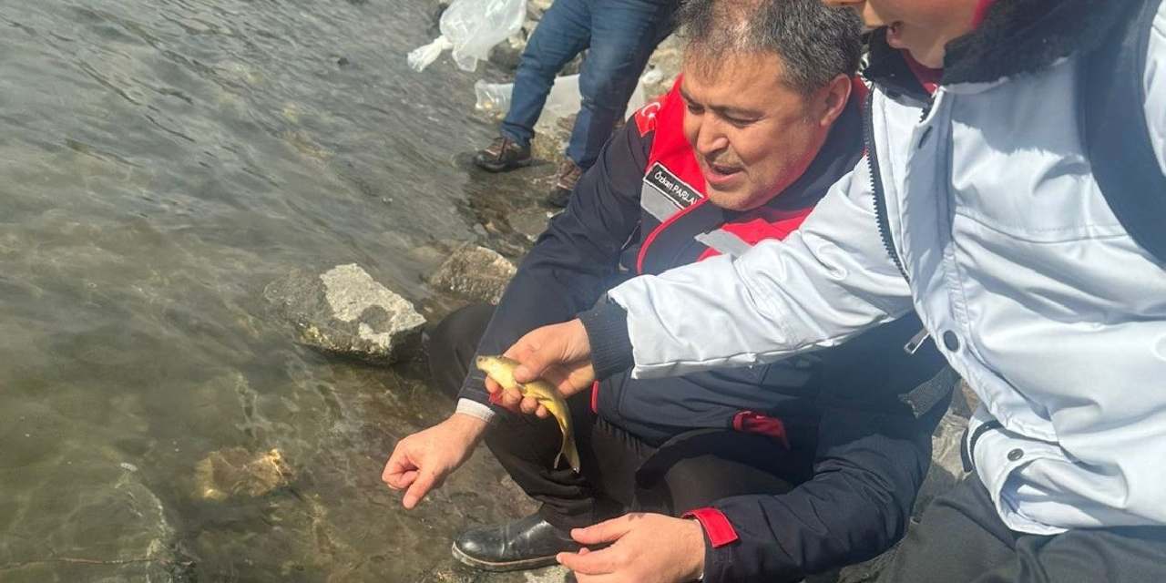 13 ilçede 39 göl ve gölete bırakıldı: Bu yıl için de talep edildi