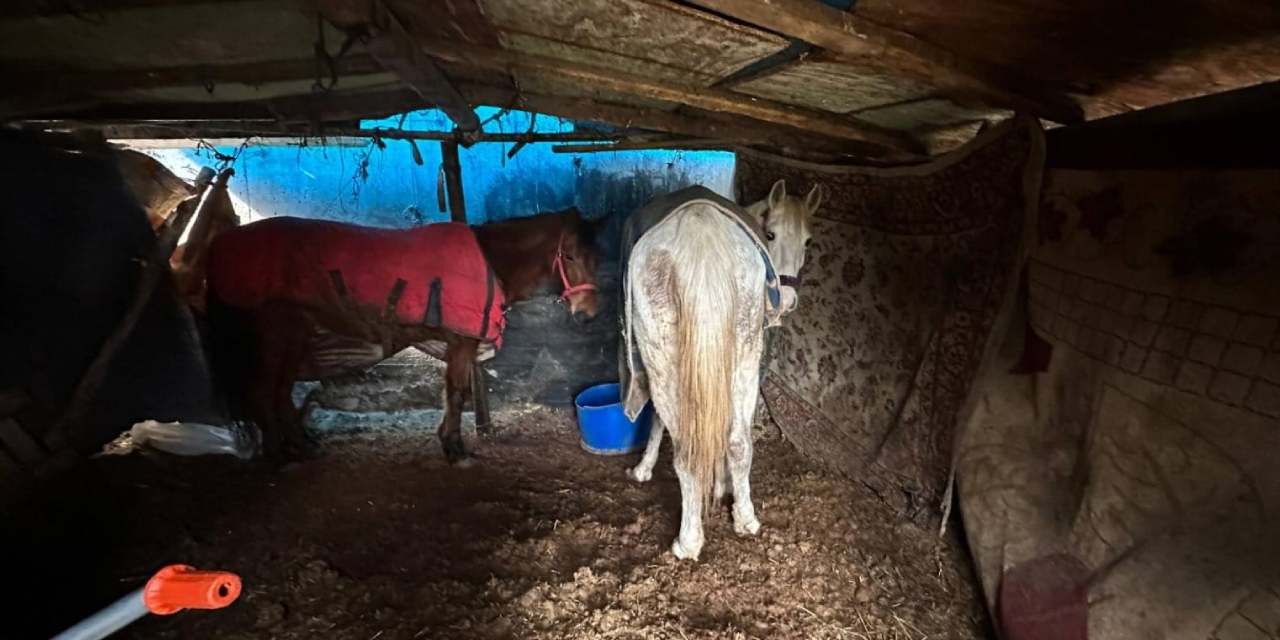 Sakarya'da at kesen 2 kişi fotokapanla yakalandı