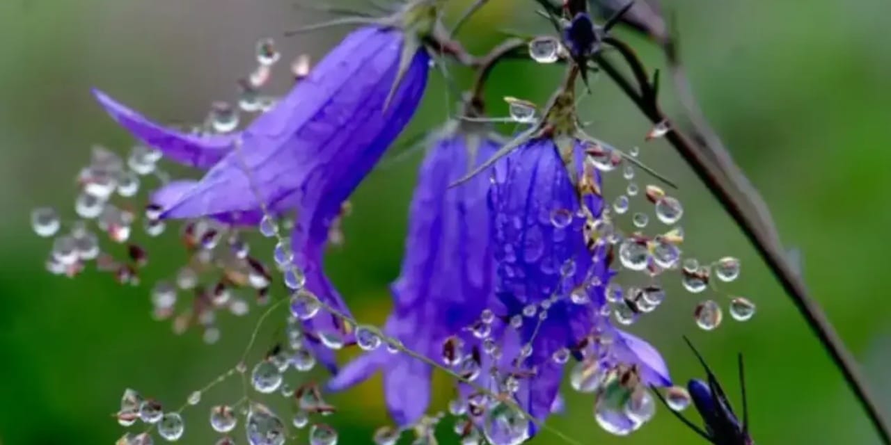 2026 cemre düşme tarihleri: İlk cemre ne zaman düşecek?