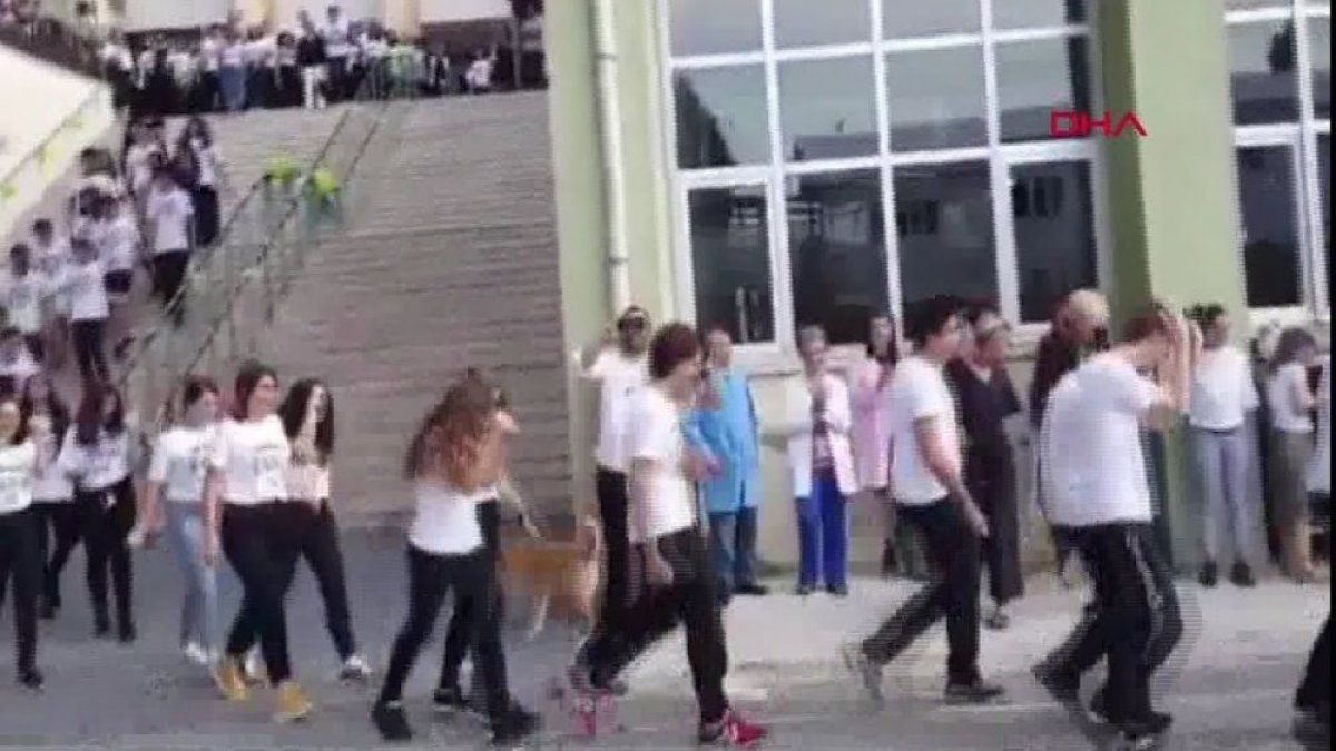 Milli Eğitim Müdürlüğünden, Kadıköy Anadolu Lisesi'ndeki 'martı karşılamasına' inceleme