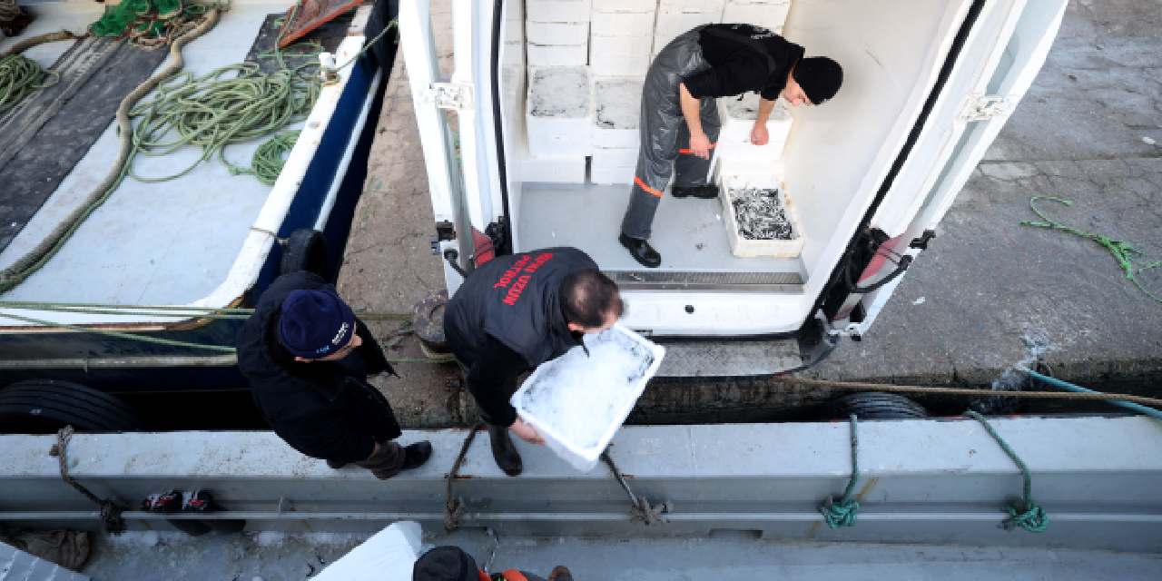 İğneada’dan kasalarla geliyor: İstanbul’da bin 500 liraya kapış kapış satılıyor