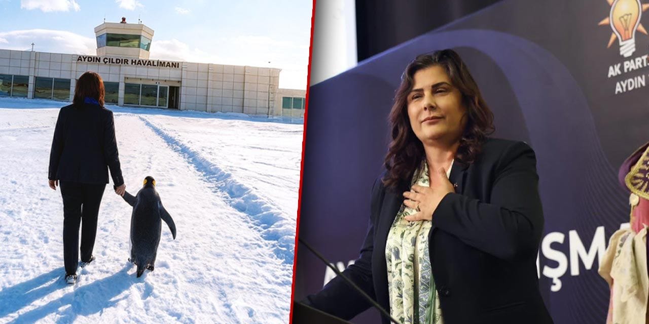 Penguen akımına katılan Çerçioğlu'nu pişman ettiler! Tepkilerin arkası kesilmedi