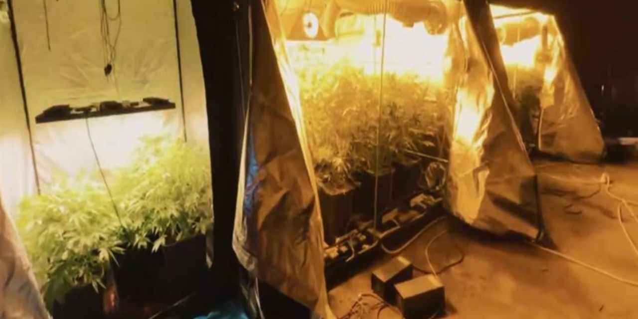 23 ildeki 'uyuşturucu' operasyonunda 177 kişi tutuklandı