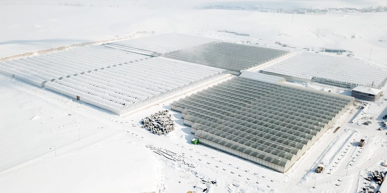 Eksi 25 derecede domates üretilen tesis gorüntülendi