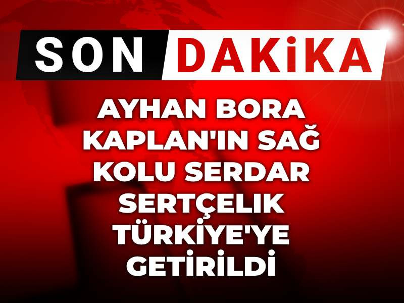 Ayhan Bora Kaplan'ın sağ kolu Serdar Sertçelik Türkiye'ye getirildi